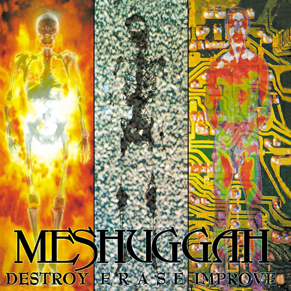 Meshuggah – Destroy Erase Improve (album cover)